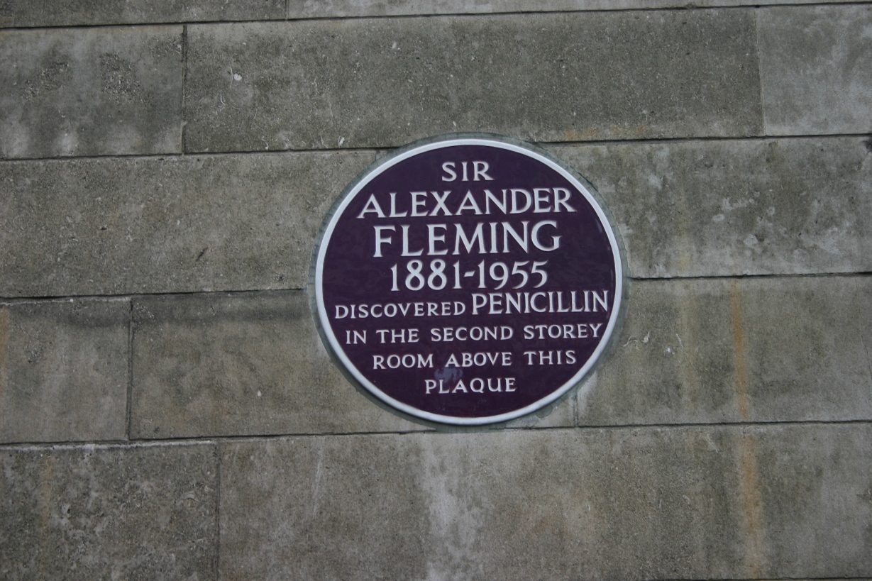 Alexander%20Fleming%27s%20Blue%20Plaque%20-%2003.JPG